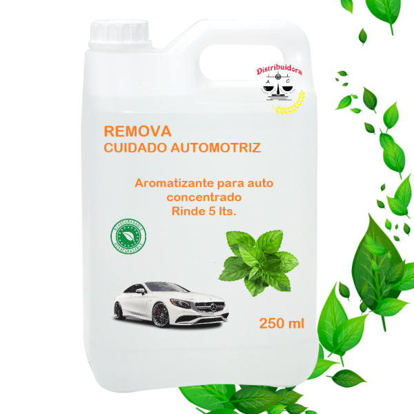 Aromatizante Ambiental Remova Auto Liquido Concentrado 5 L._24