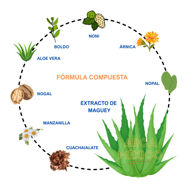 Jugo De Maguey Silvestre Puro: Natural Y Sin Conservadores_8 Jugo De Maguey Silvestre Puro: Natural Y Sin Conservadores_8