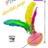 Juego Peteca Indiaca O Gallito 24 Cm Con Plumas Artesanal_3 12879314